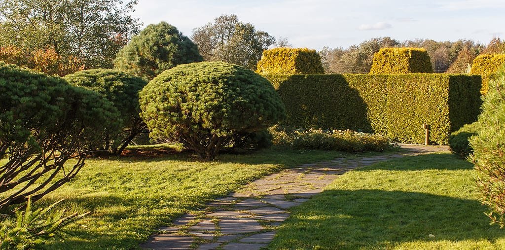 Ein sorgfältig gestalteter Garten, umgeben von hohen Hecken, die sowohl Sichtschutz als auch ästhetische Eleganz bieten